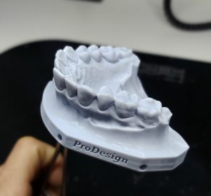 modelo impresso cortado